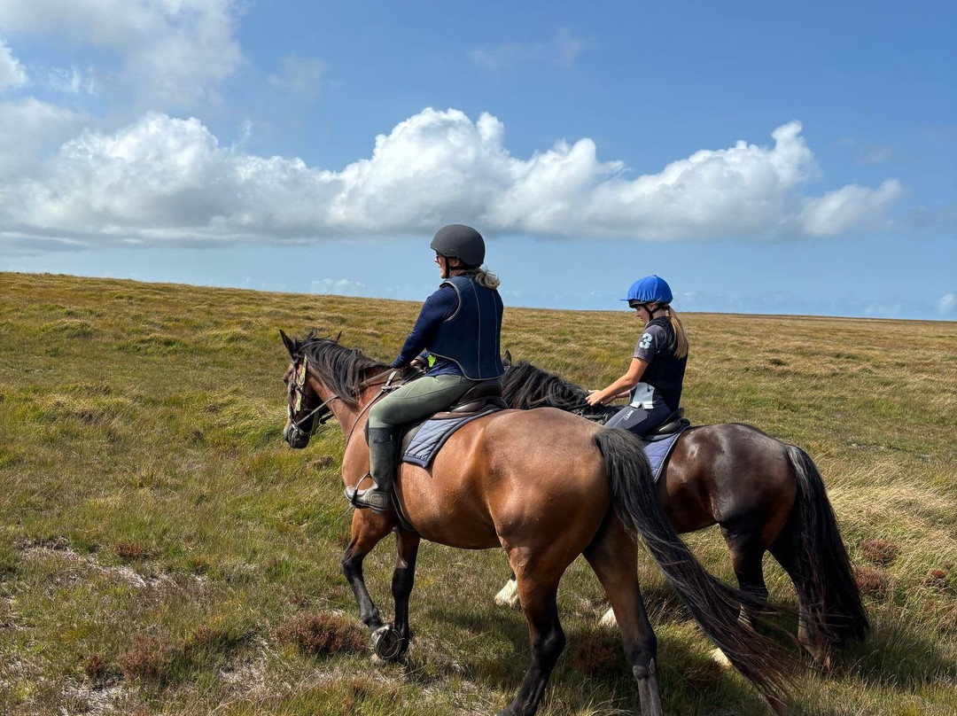 Brendon Manor Stables-林顿必去景点