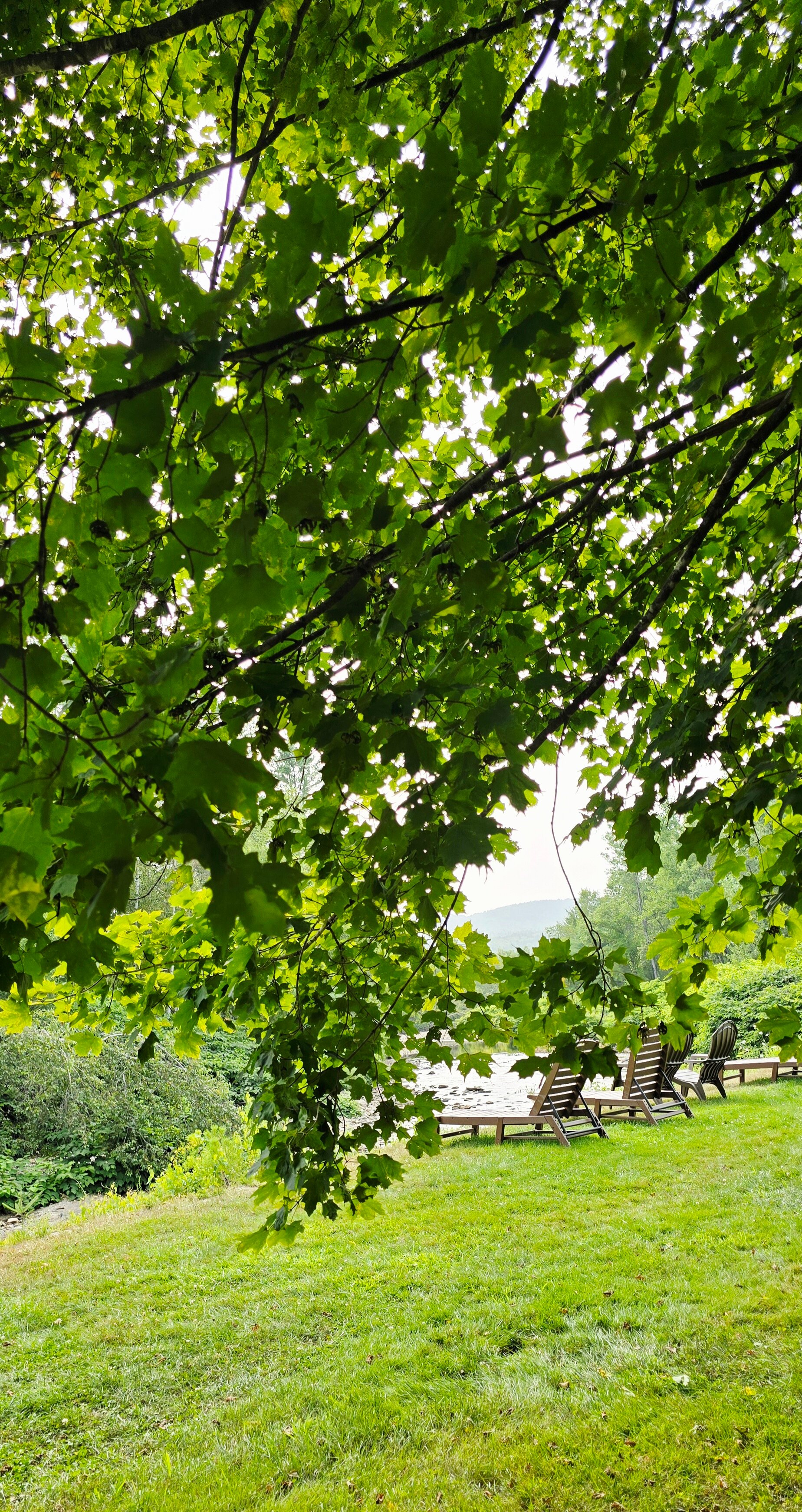 Sun & Ski Inn And Suites-官方