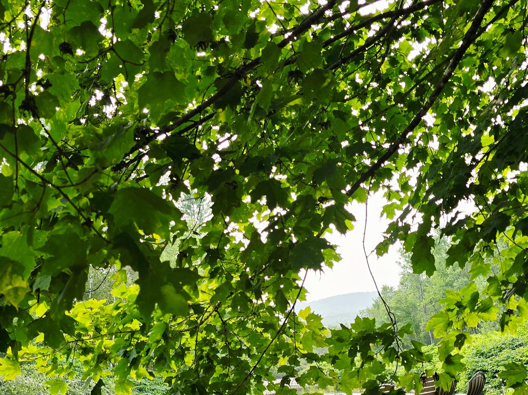 Sun & Ski Inn And Suites主图