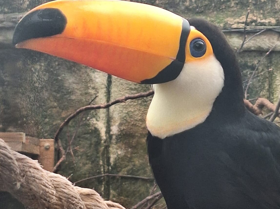 Amazon World Zoo Park-桑当必去景点