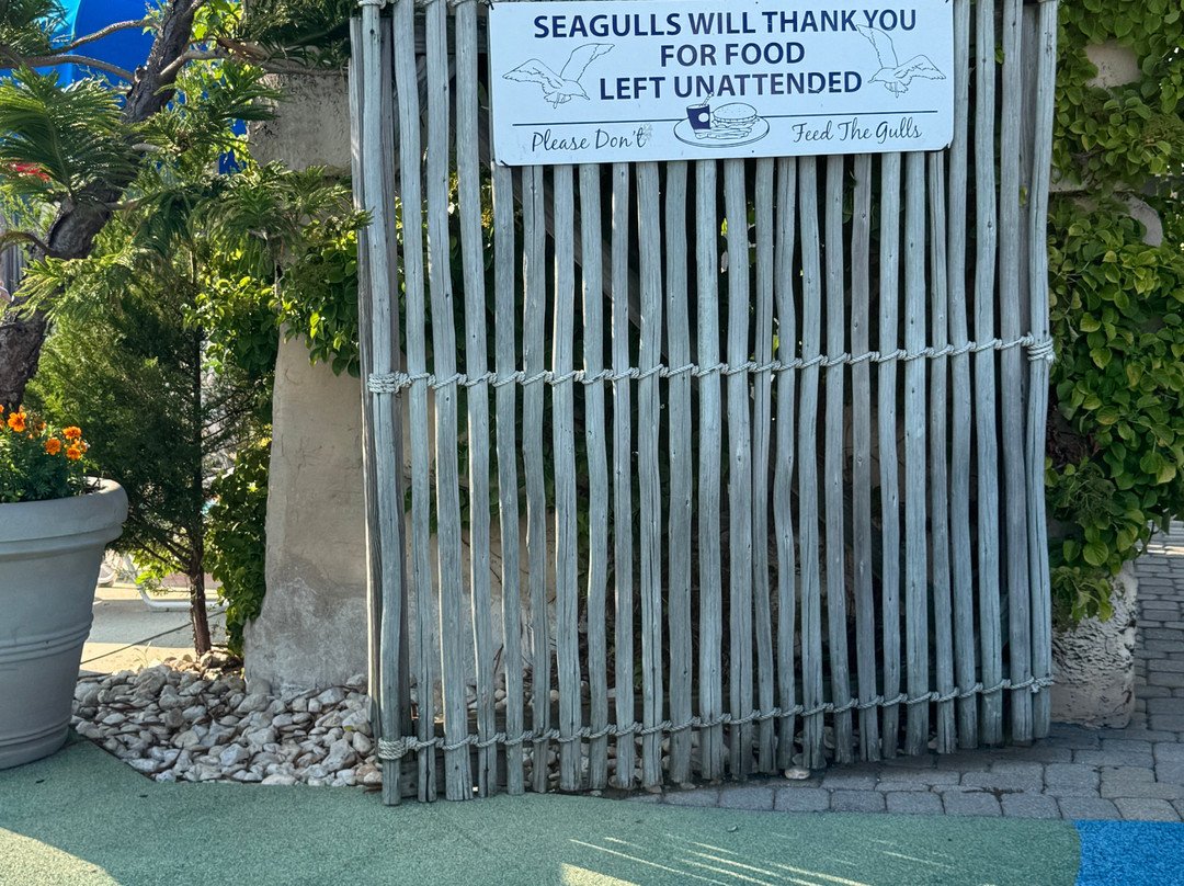 Jungle Jim's-里霍博斯比奇必去景点