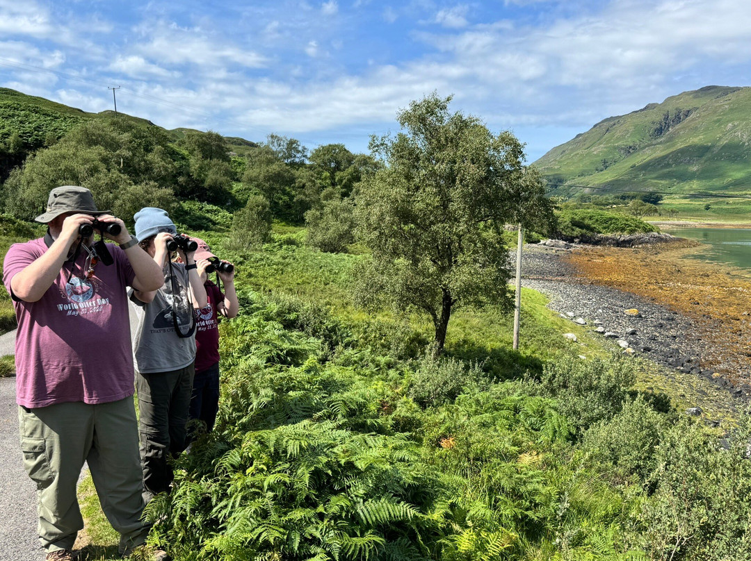 Mull Magic Wildlife - Day Tours-Tobermory必去景点