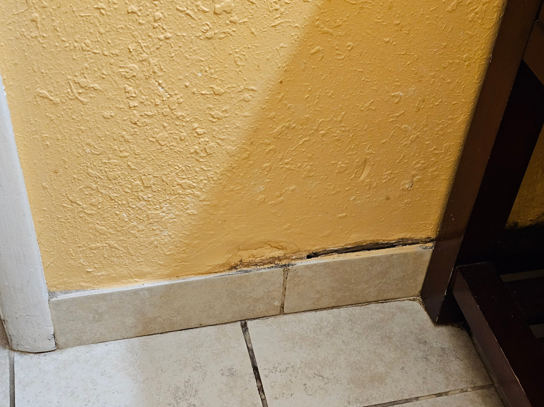 Royal Victorian Motel主图