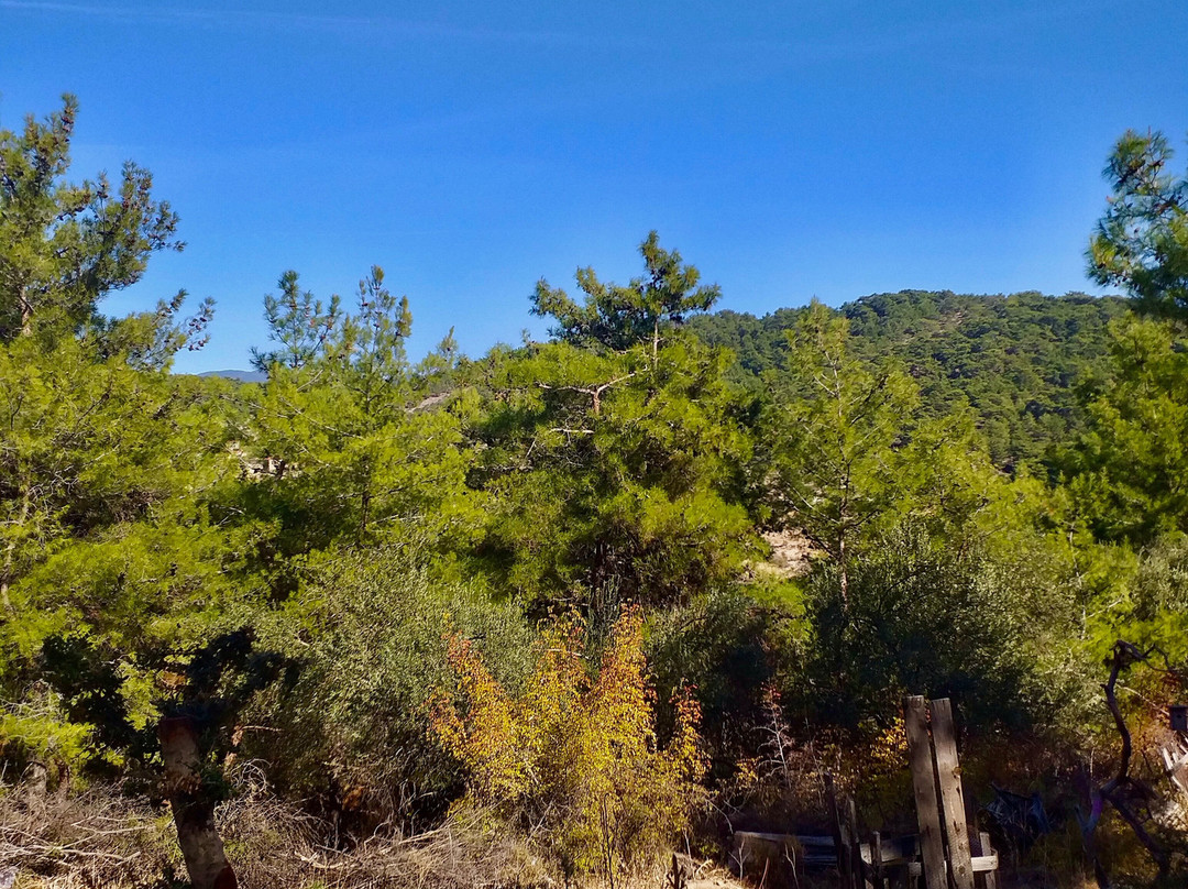 Zeus Altarı-埃德雷米特必去景点