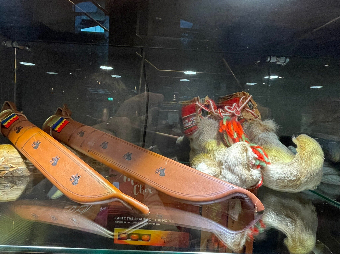 Bjornfjell Mountain Lodge主图