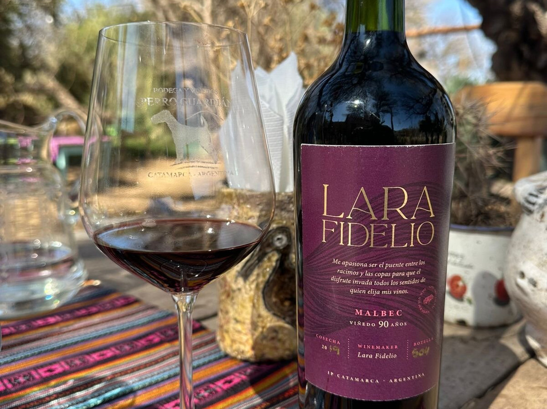 Bodega Perro Guardian-Tinogasta必去景点