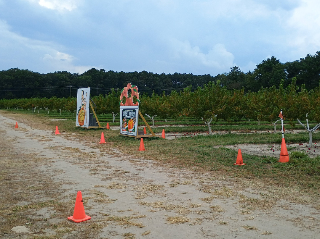 Bennett Orchards-Frankford必去景点