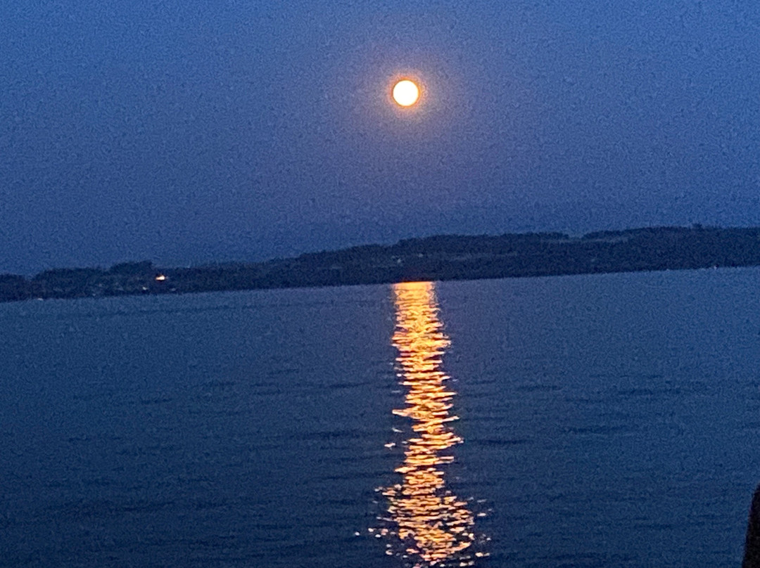 Esplanade du Mont-Blanc-纳沙泰尔必去景点