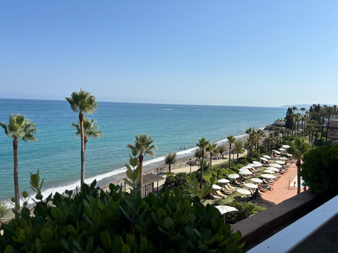 Elba Estepona Gran Hotel & Thalasso Spa主图