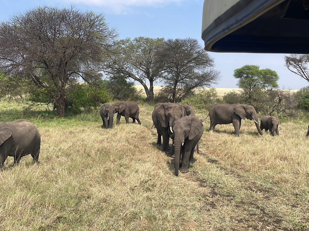 Ungitours-莫西必去景点