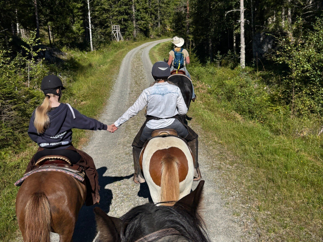 Basnes Trail Rides-Aurskog必去景点