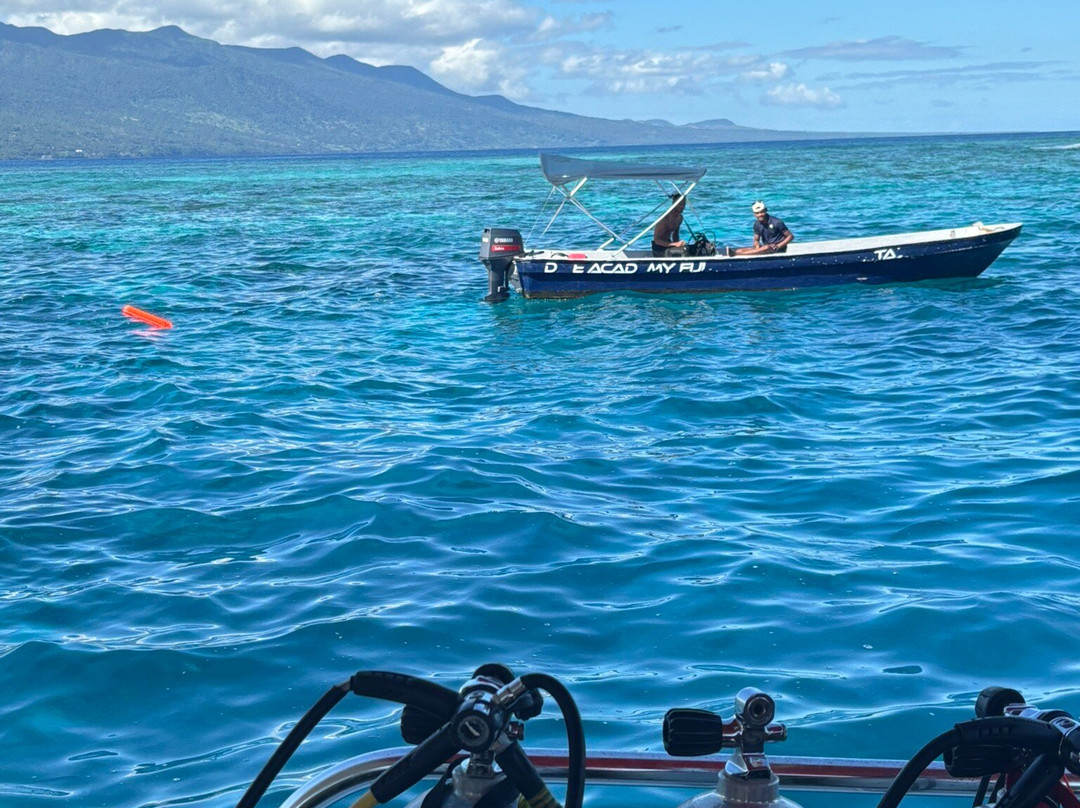 Salt Diver-塔韦乌尼岛必去景点