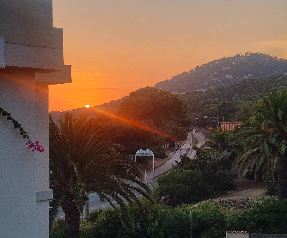 Hôtel Almanarre Plage主图