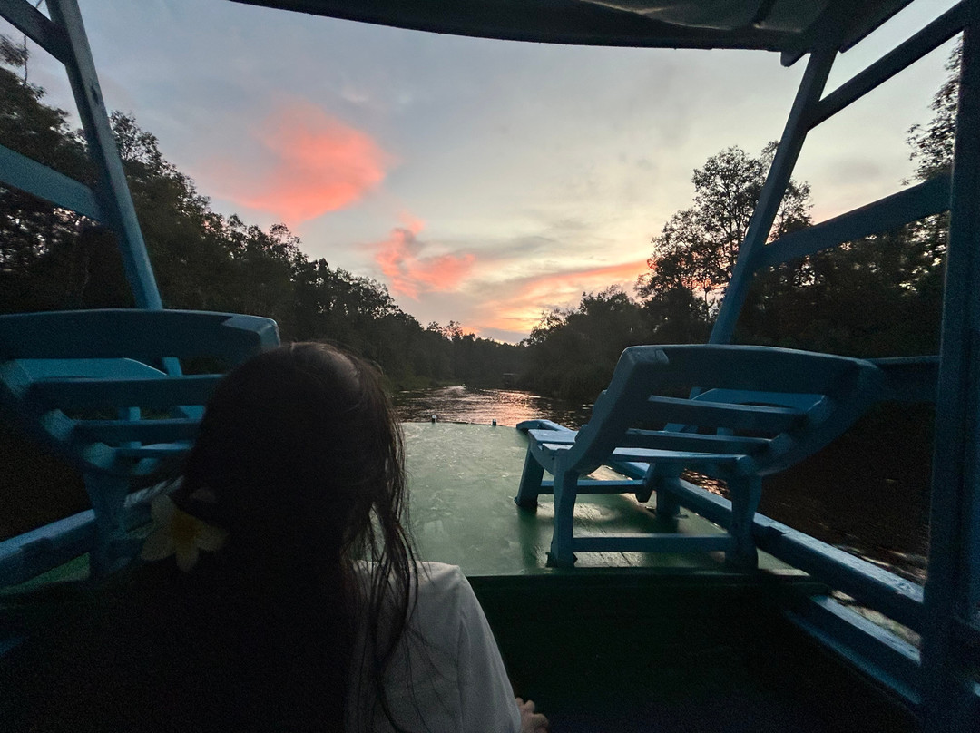 Guia En Borneo-Pangkalan Bun必去景点