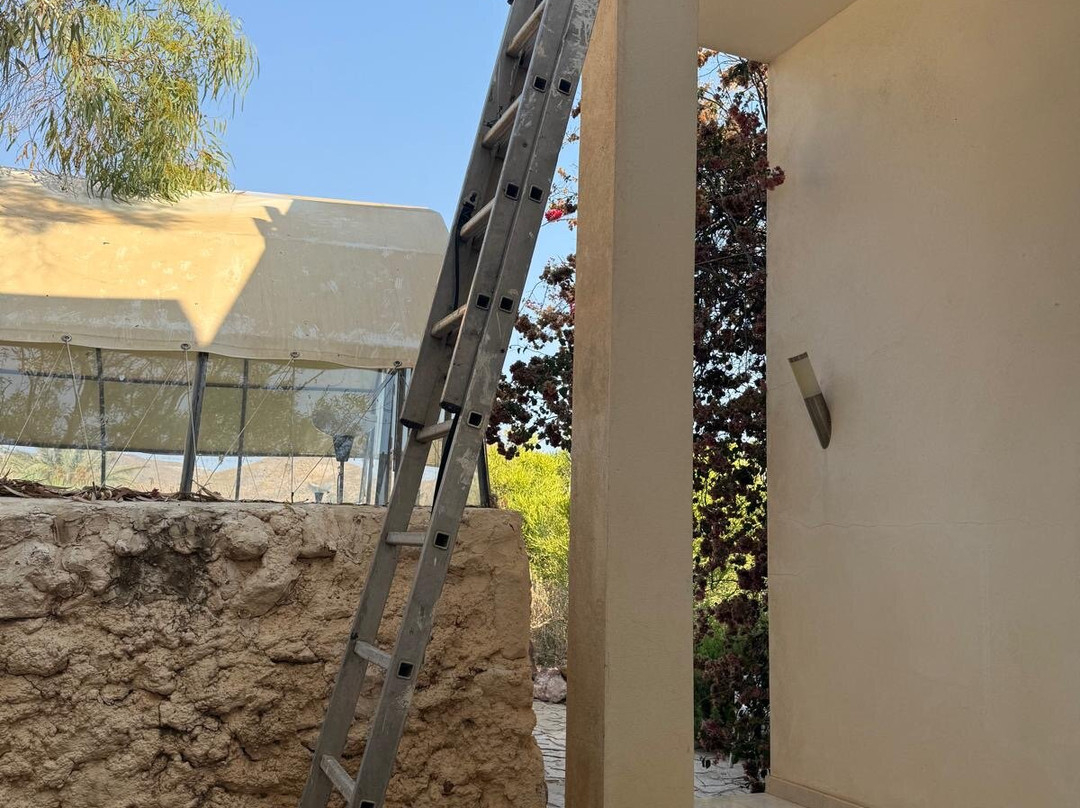 El Jardin De Los Suenos主图