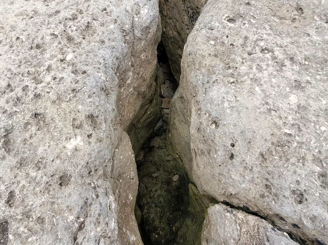 Portland Bill-Isle of Portland必去景点