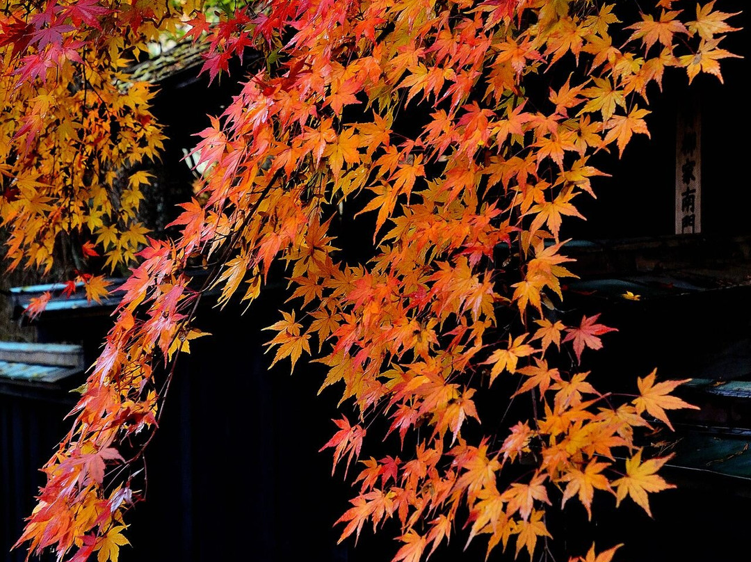 Kakunodate-仙北市必去景点