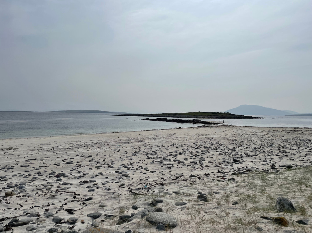 Belmullet Boat Charters - Inishkea Ferry & Sea Safari Tours-Belmullet必去景点