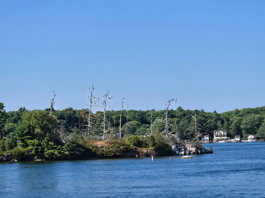 Rockport Cruises-Rockport必去景点