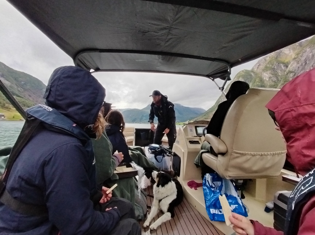 Jølster Boat Tours-Skei必去景点