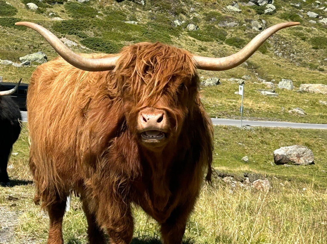 Kaunertal Glacier-Kaunertal必去景点