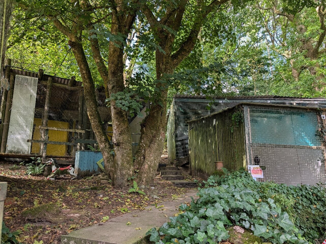 Festival Park Owl Sanctuary-Ebbw Vale必去景点