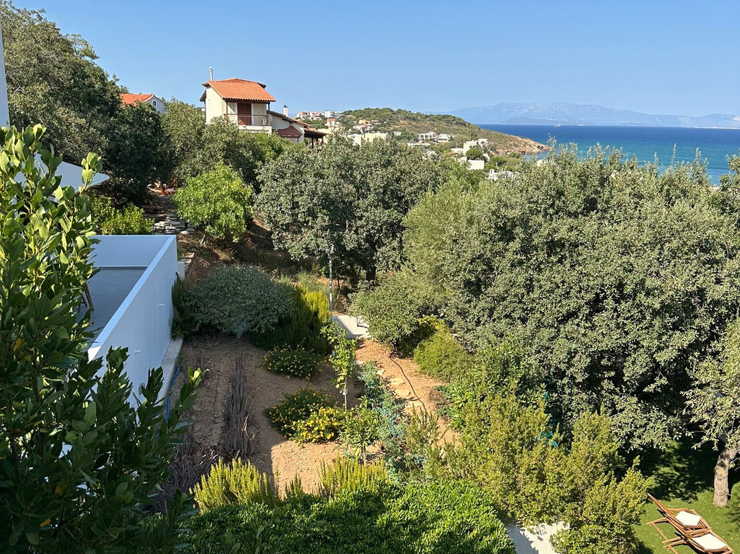 Melia Sol Art Studios主图