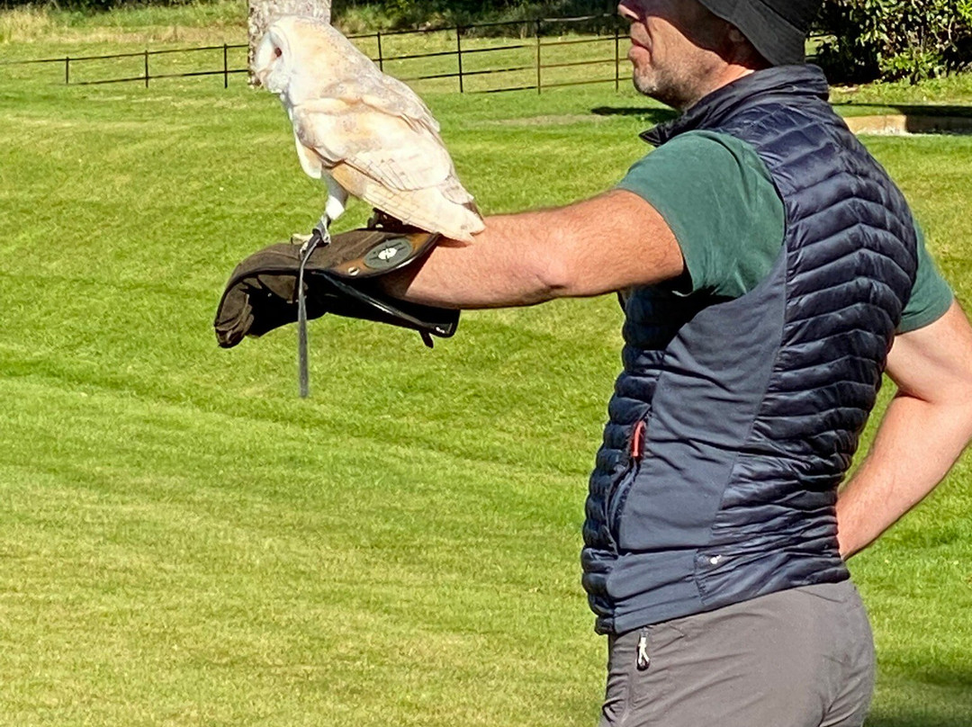 Shieldaig Falconry-盖尔洛赫必去景点