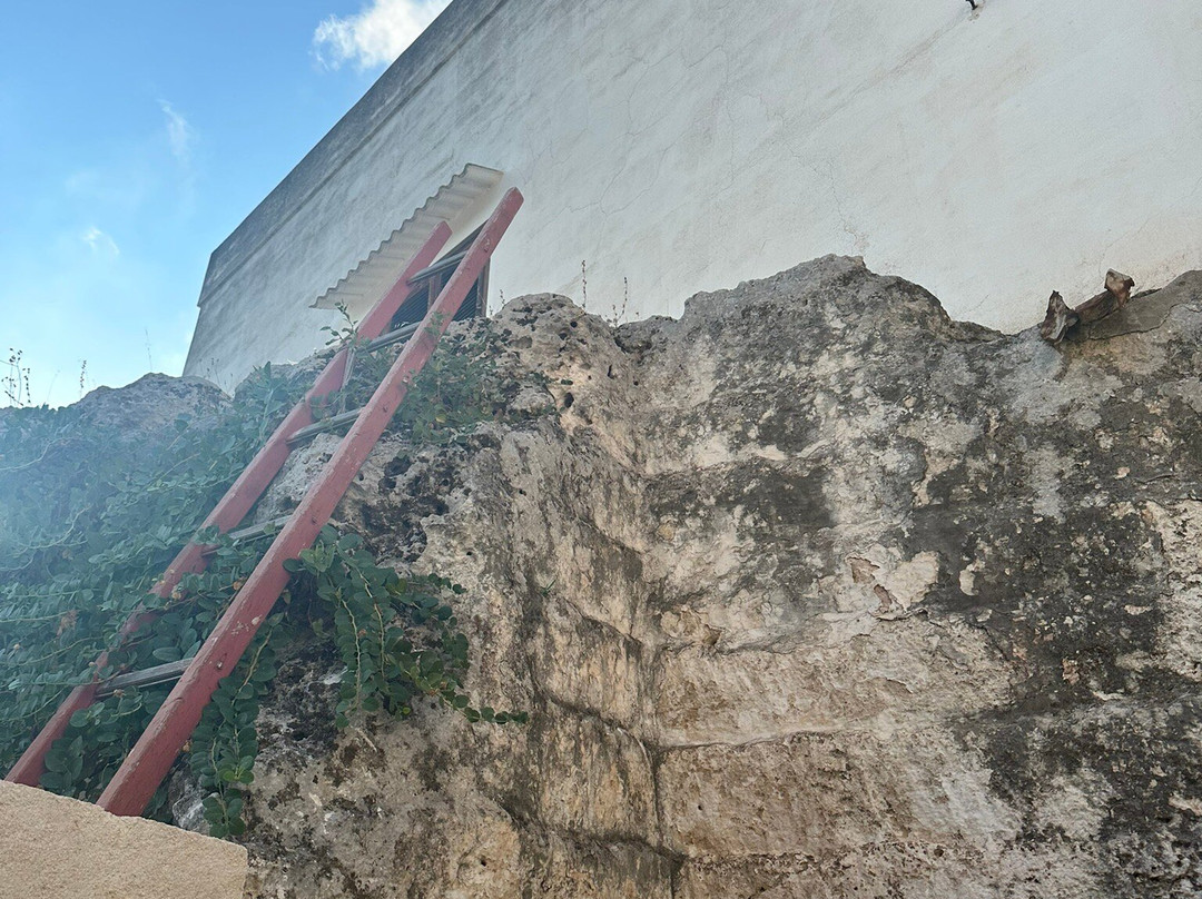 Masseria Pelosella B&B主图