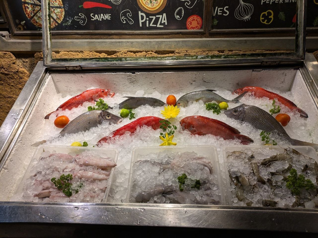 Shark Cafe Seafood Restuarent