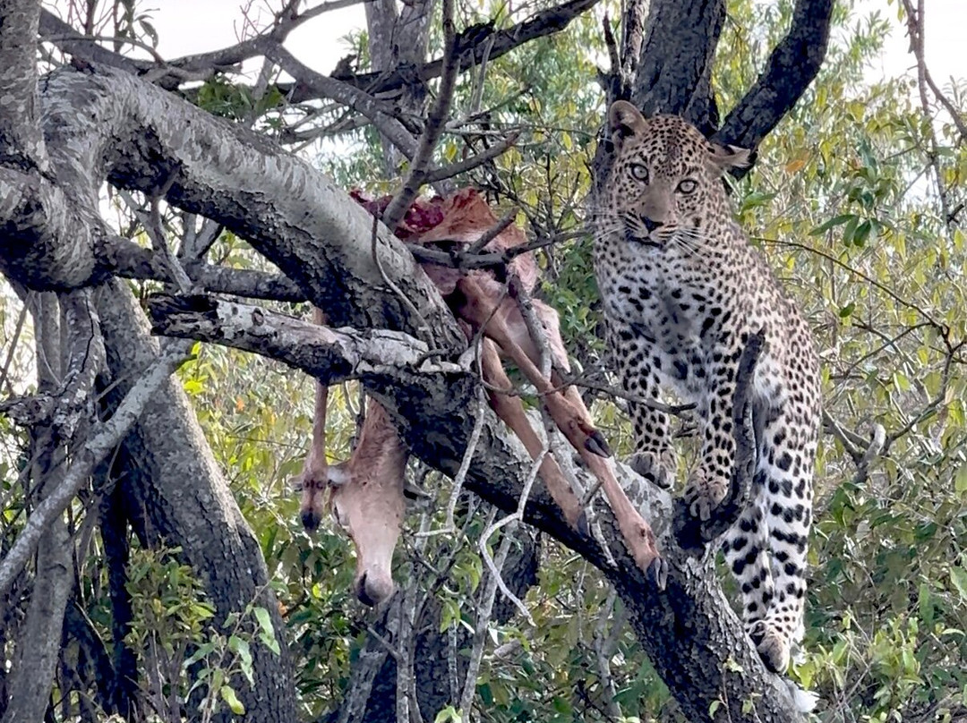 Brighte Maasai Adventures-Mara North Conservancy必去景点