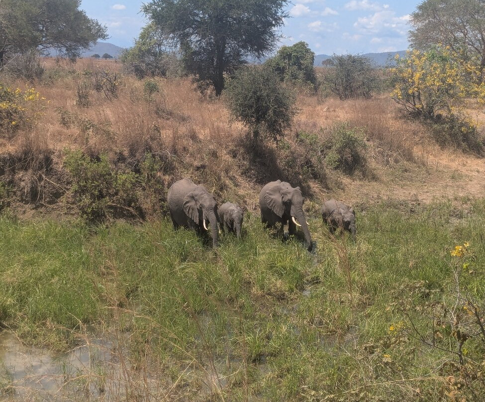 Kasaka Tours-Dar es Salaam必去景点
