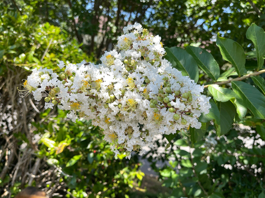 Best Western Statesville Inn主图