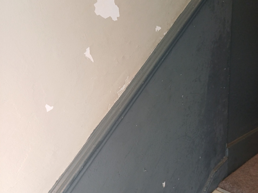 The Black Lion Hotel主图