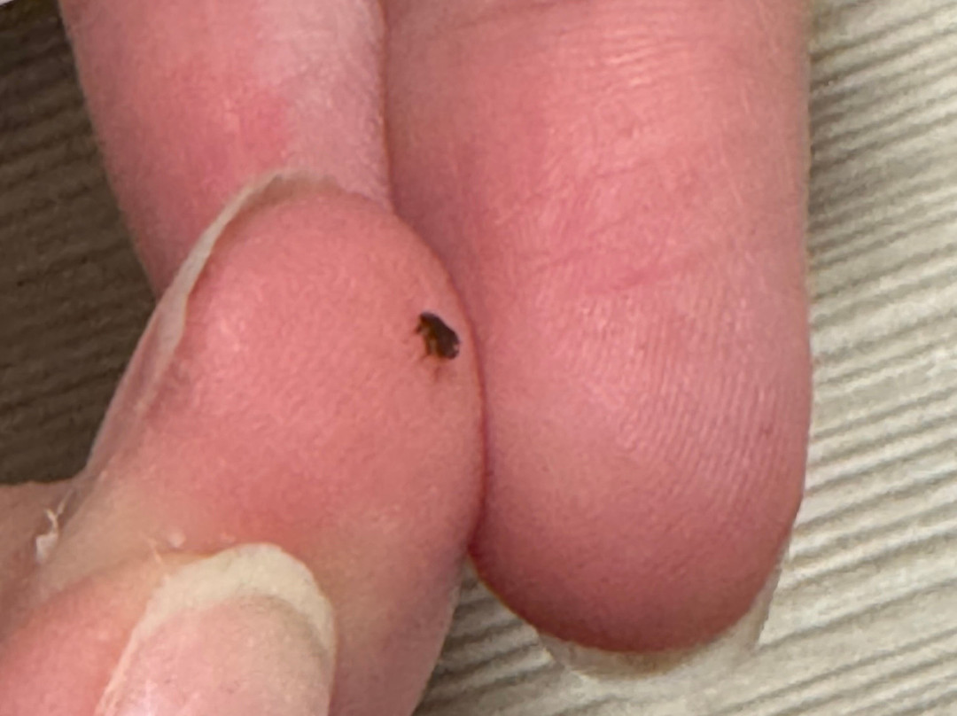 My Place Hotel - Minneapolis/Shakopee, MN主图