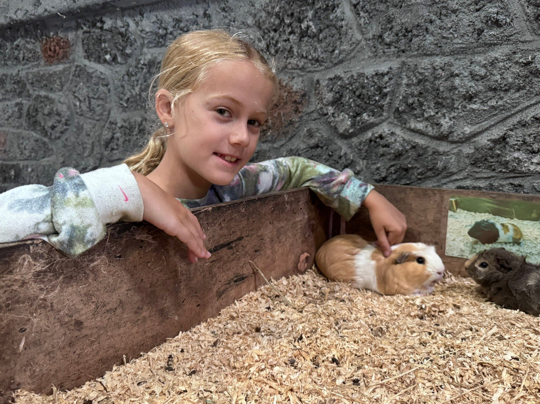 Farmer Teds Adventure Farm-Ormskirk必去景点