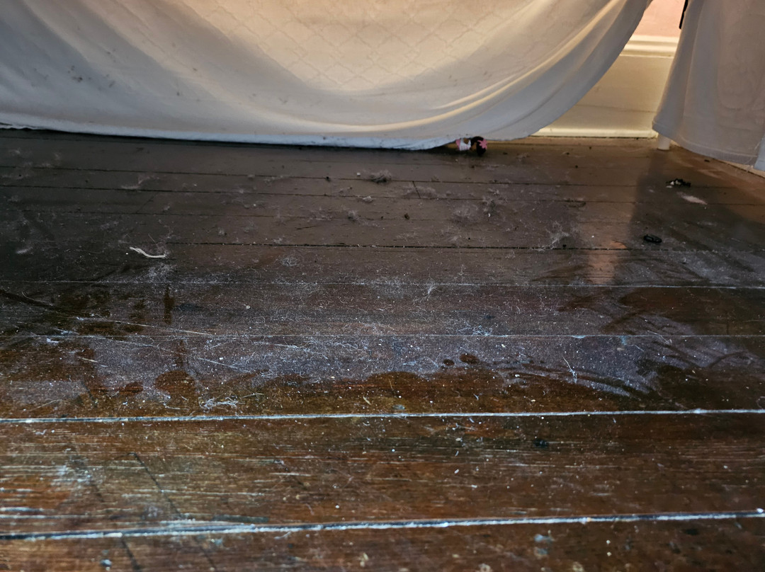 1872 Denham Inn主图