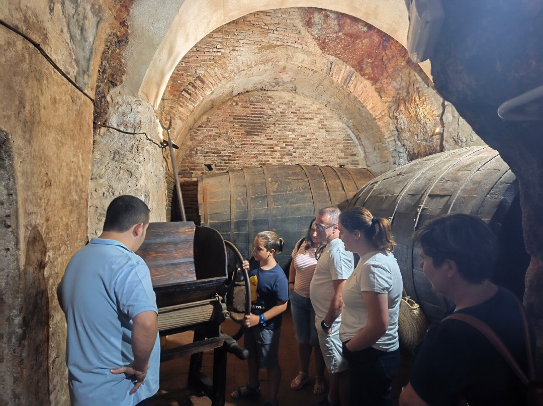 Bodegas A. Velasco e Hijos-萨莫拉必去景点