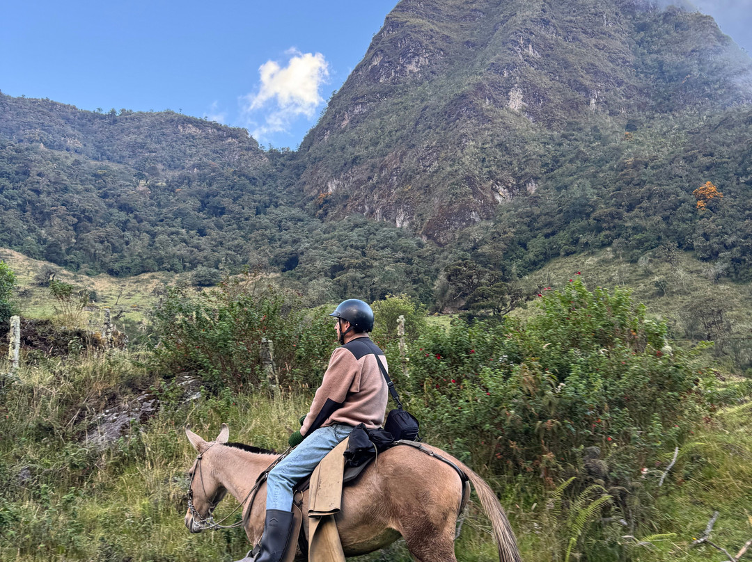 Finca Akila-Filandia必去景点