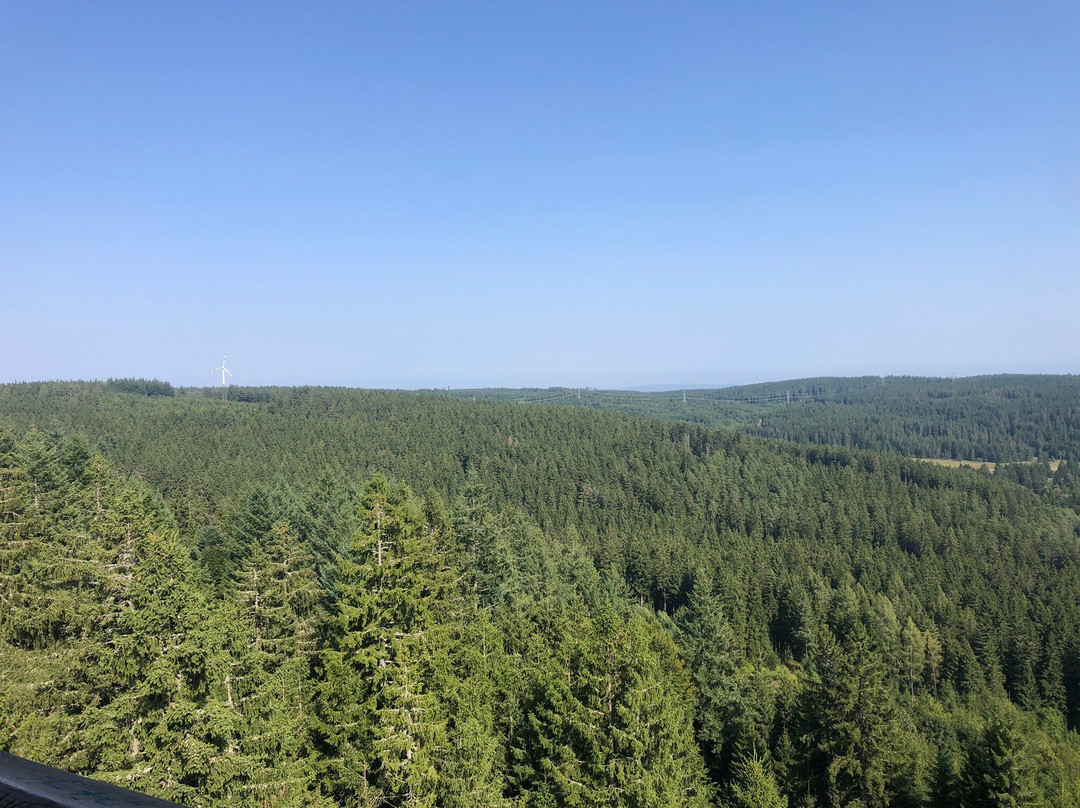 Riesenbühlturm in Schluchsee-施卢赫湖必去景点