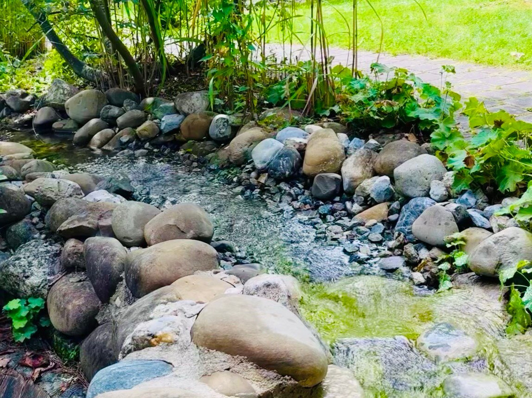 Natur-Landhaus Krone主图