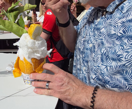 Can't Be Missed Tours-奇维塔韦基亚必去景点