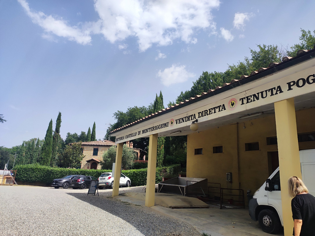 Fattoria Castello di Monteriggioni - Wine Shop-蒙特里久尼必去景点