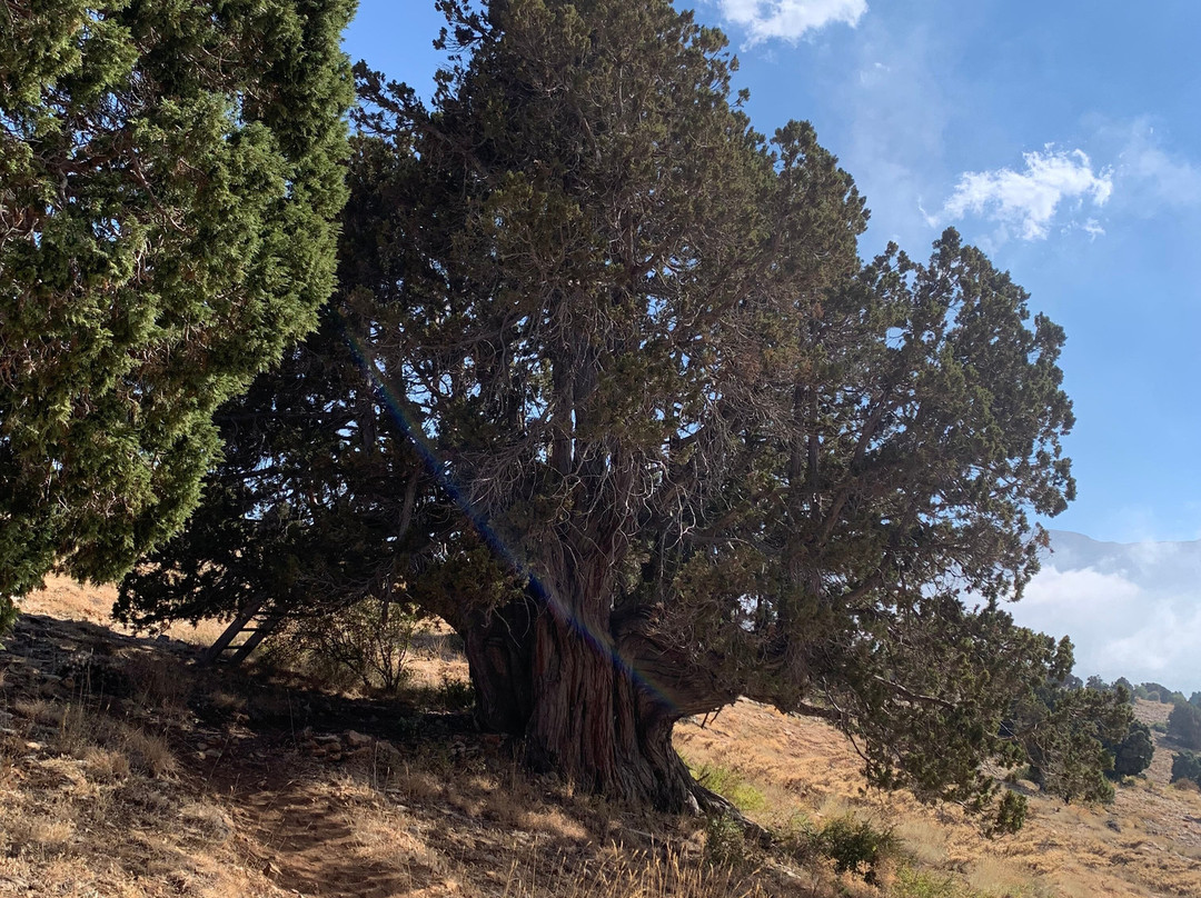 Discovery Beyond Borders-Zouk Mosbeh必去景点