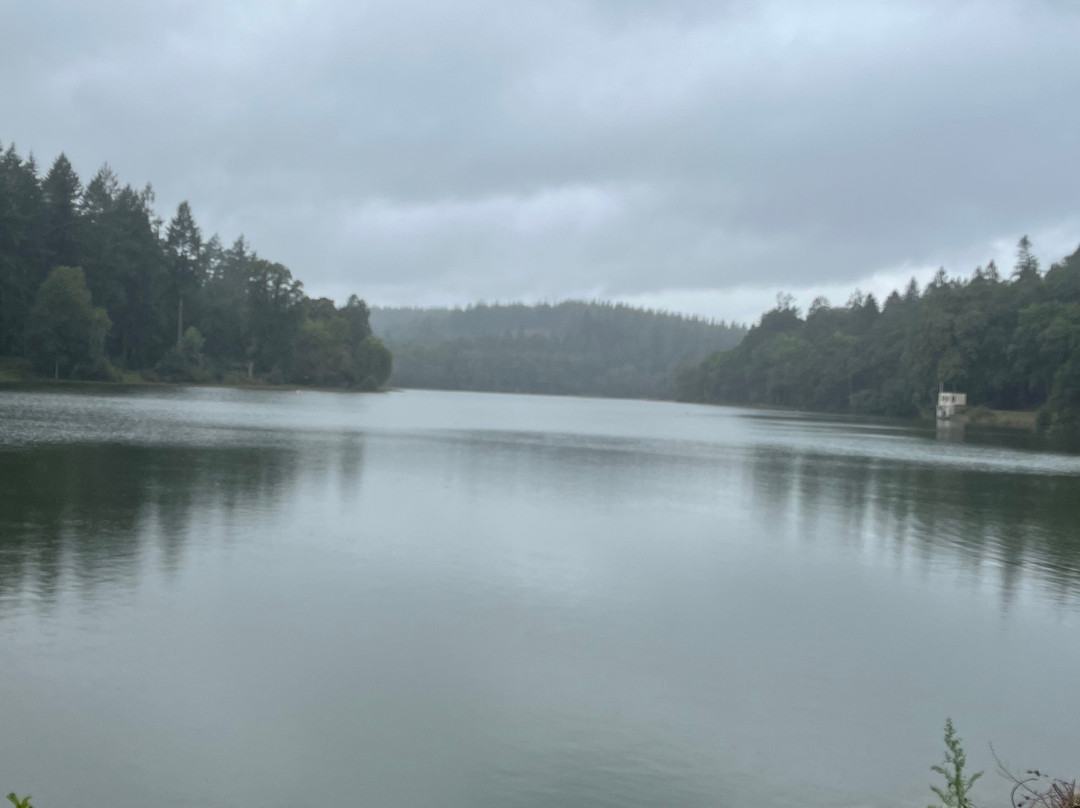 Shearwater Lake-Crockerton必去景点