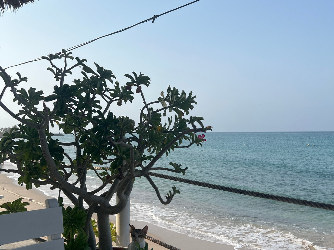 Turtle Beach - Restaurant & Bar主图