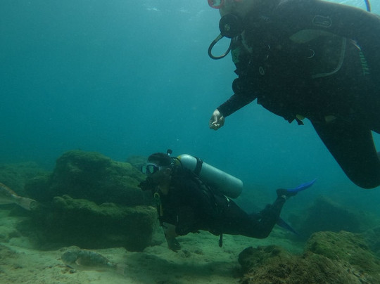 Noronha Total -  Agência de Turismo-费尔南多-迪诺罗尼亚群岛必去景点