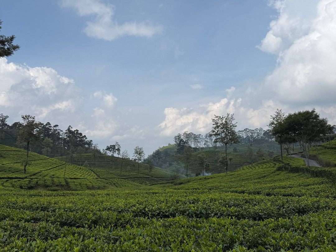 Nature Caves Sri Lanka-科伦坡必去景点