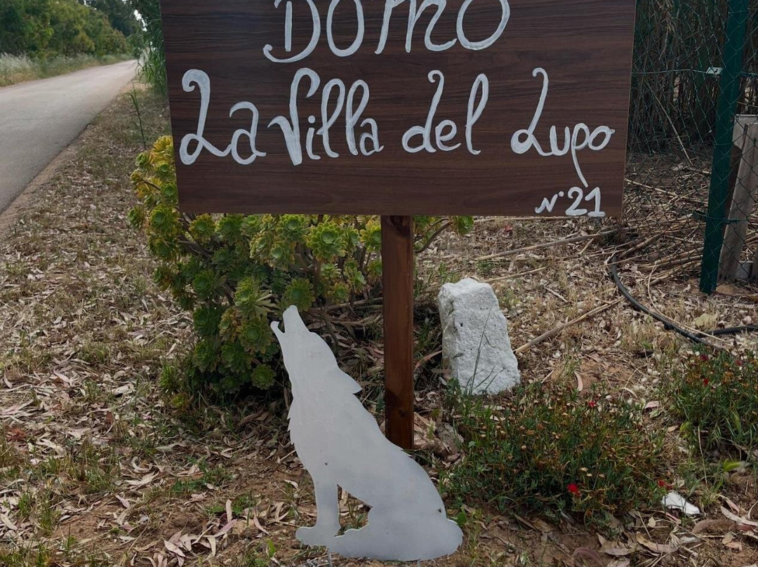 Villa Del Lupo