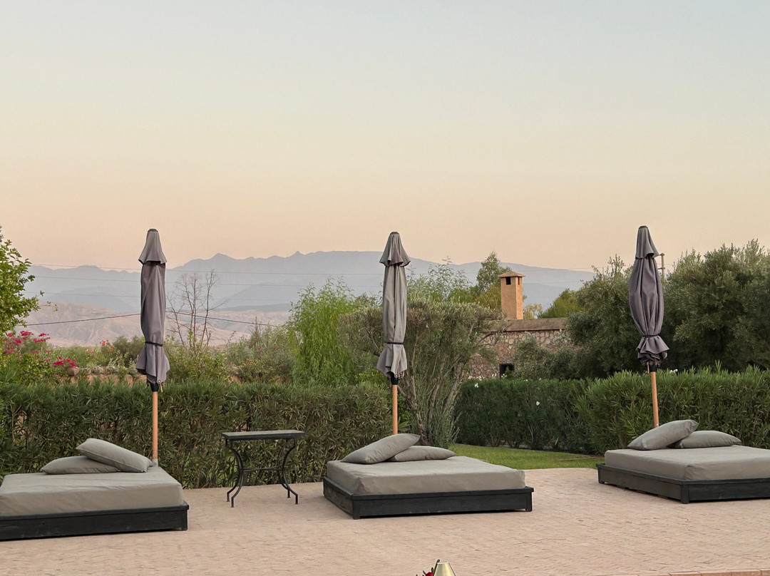 The Capaldi Hotel主图